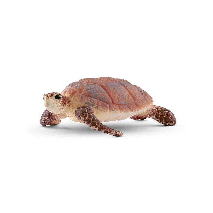 Schleich - 14876 | Wild Life: Hawkbill Sea Turtle