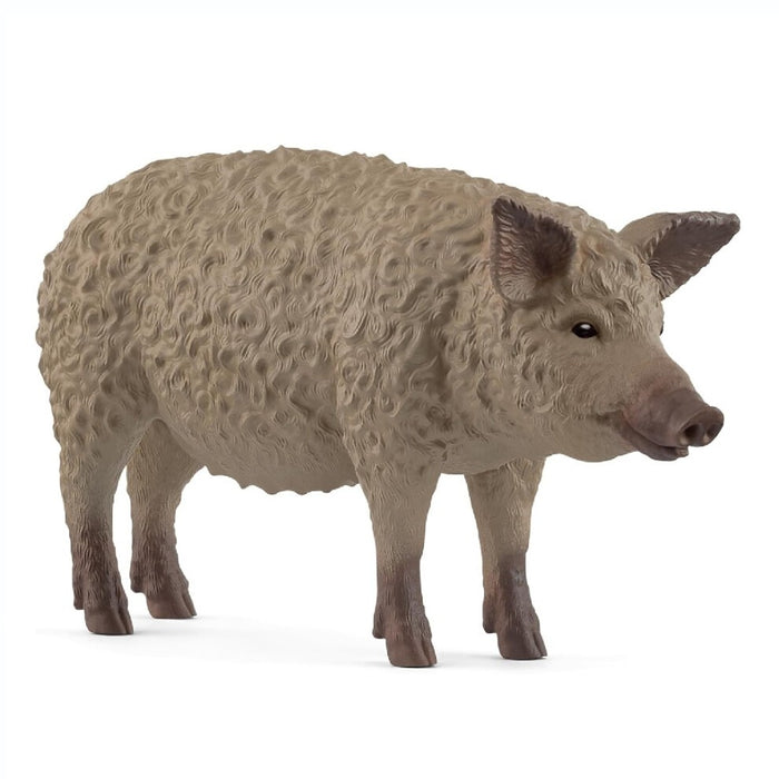 Schleich - 14892 | Mangalica