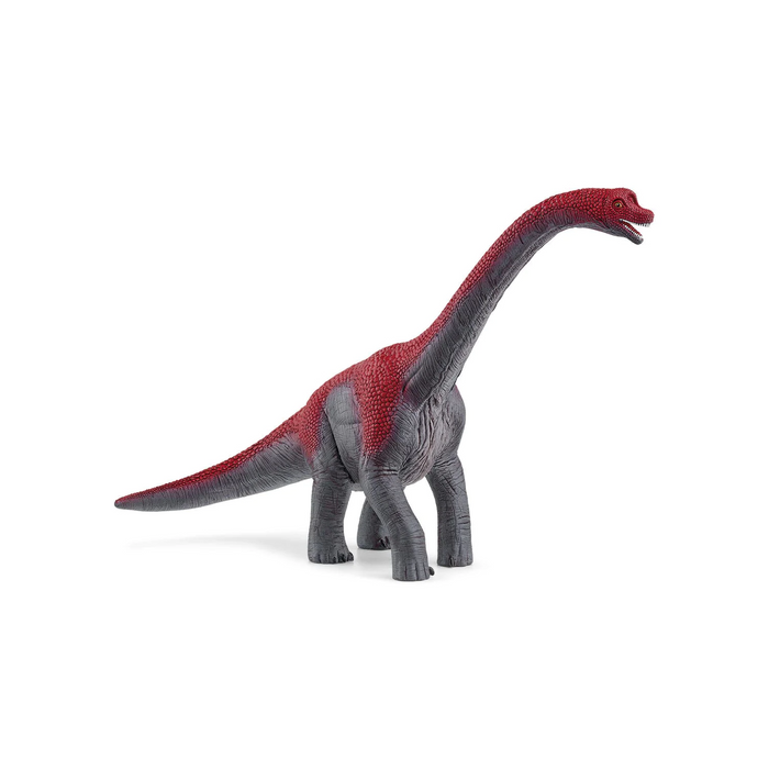 3 | Brachiosaurus