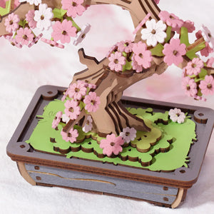 Rolife - TG415 | Sakura Bonsai Wooden Model Kit
