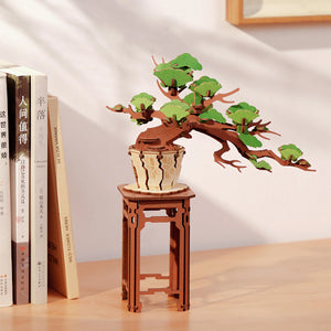 Rolife - TG510 | Evergreen Pine Bonsai Wooden Model Kit