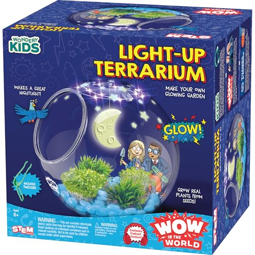 Thames & Kosmos - 545003 | Wow in the World Light-up Terrarium, Decorate Your Terrarium