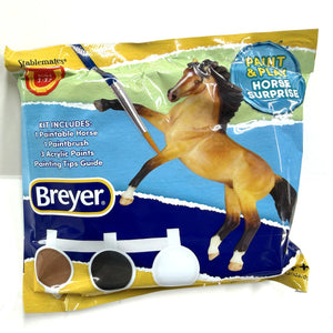 Breyer - 4264 | Horse Surprise Paint & Play - Assorted (One per Purchase)