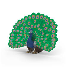 Schleich - 14926 | Wild Life - Peacock