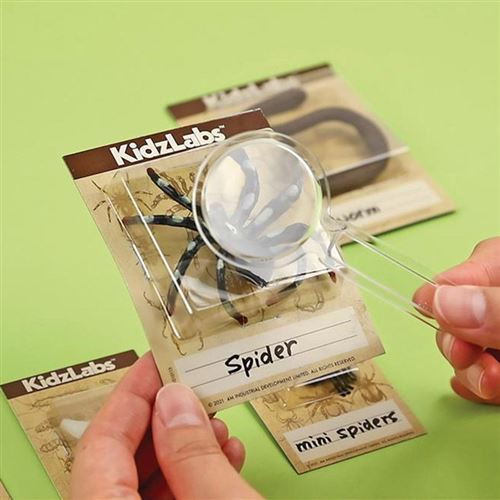 4M - P3397 | Kidzlabs: Creepy Crawly Digging Kit