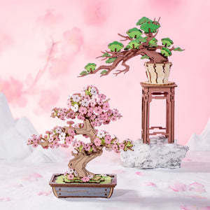 Rolife - TG415 | Sakura Bonsai Wooden Model Kit