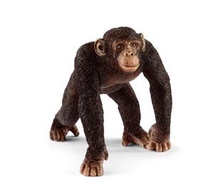 Wild Life: Chimpanzee Male