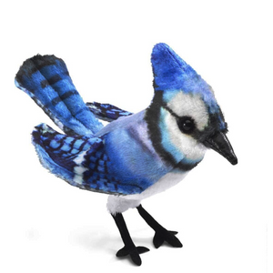 Folkmanis Puppets - 2785 | Mini Blue Jay Finger Puppet