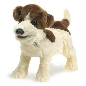 Folkmanis Puppets - 638348028488 | Jack Russell Terrier Puppet