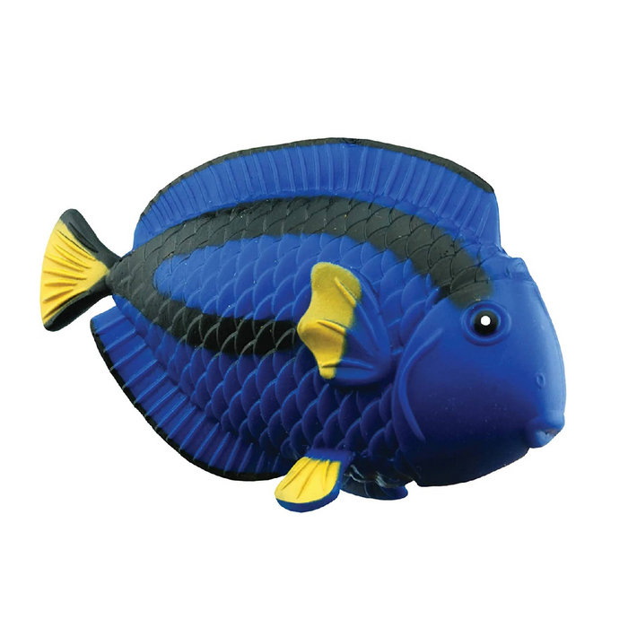 6 | Stretchy Beanie Blue Tang