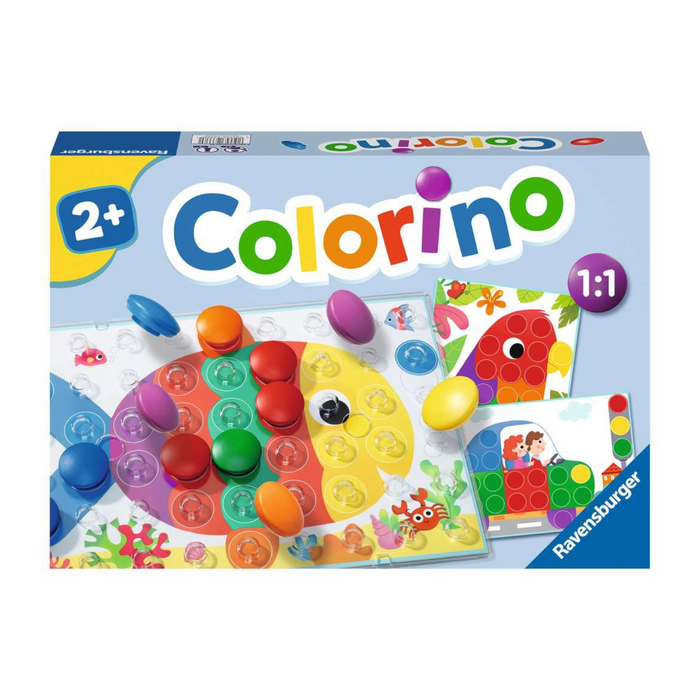 63 | Colorino