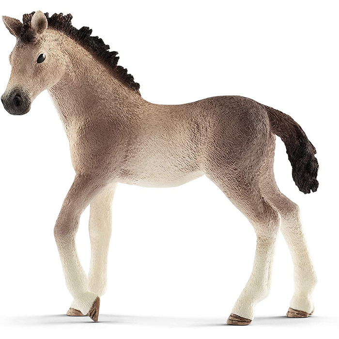 3 | Horse Club: Andalusian Foal