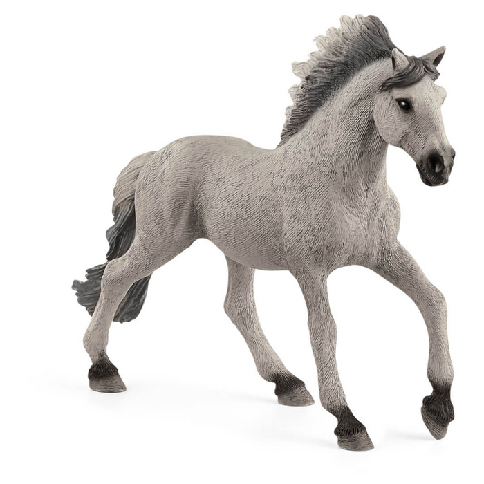 5 | Farm World: Sorraia Mustang Stallion
