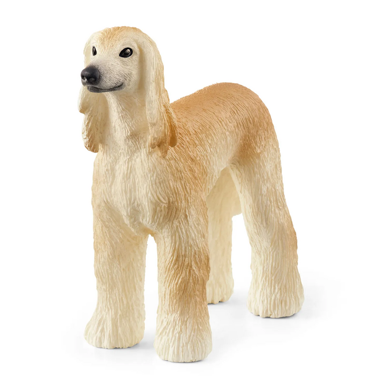 Schleich - 13938 | Afghan Hound