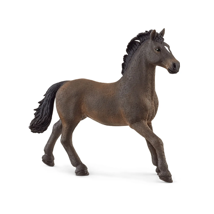 3 | Horse Club: Oldenburger Stallion