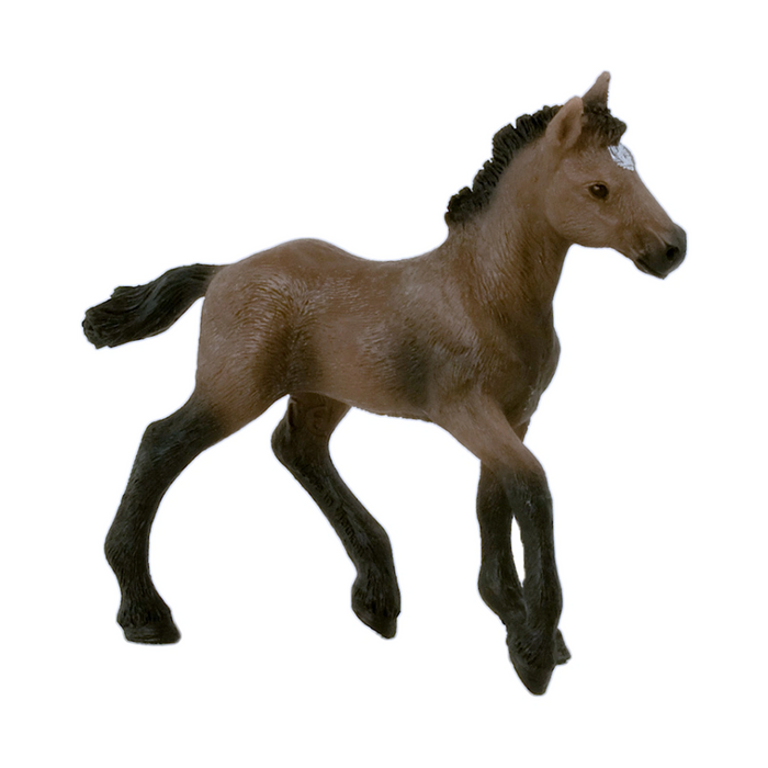 4 | Horse Club: Paso Peruano Foal