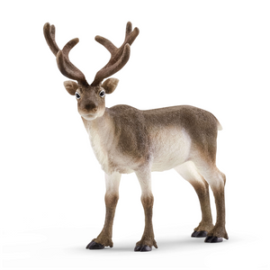 Schleich - 14837 | Wild Life: Reindeer