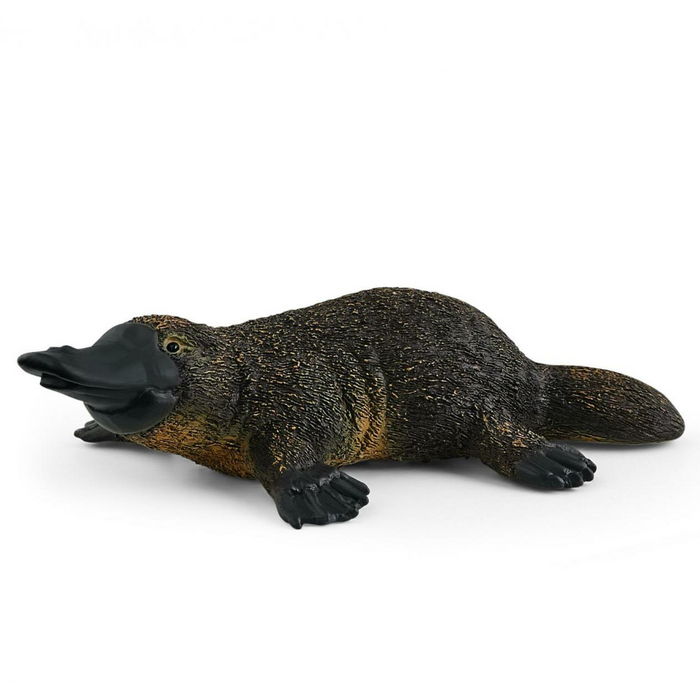 Schleich - 14840 | Wild Life: Platypus