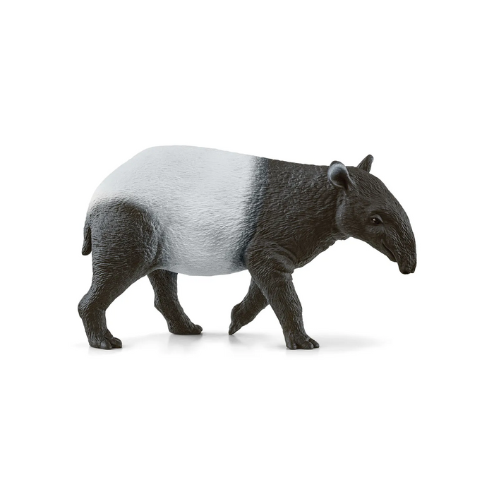 3 | Wild Life: Tapir