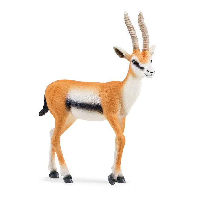 3 | Wild Life: Gazelle