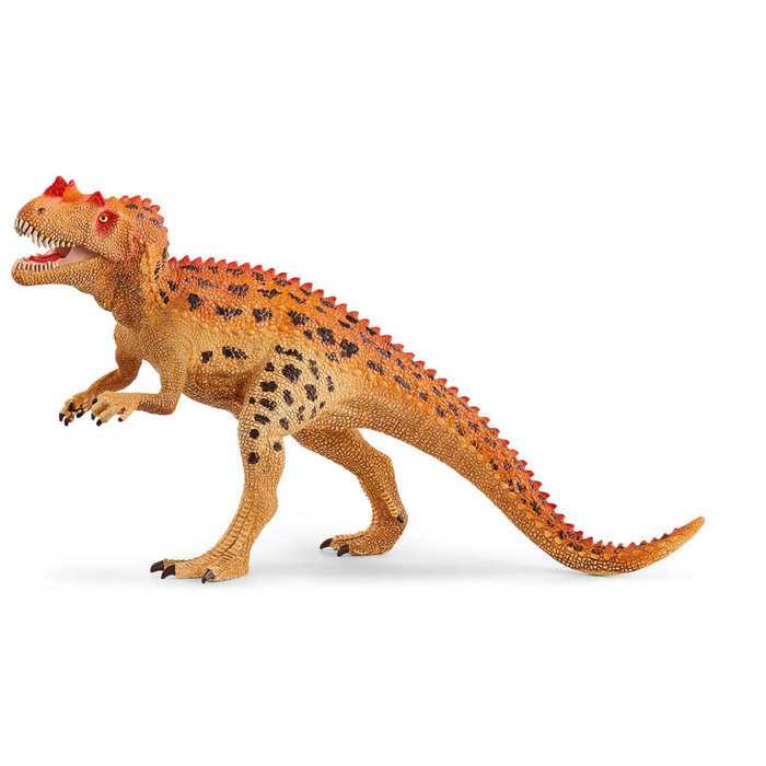 10 | Dinosaurs: Ceratosaurus