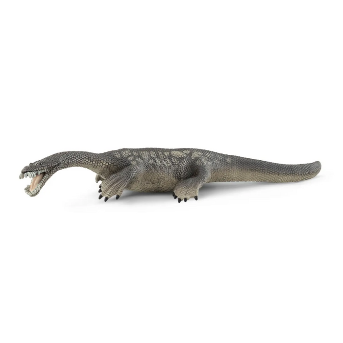 8 | Dinosaurs: Nothosaurus