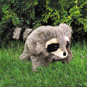 Folkmanis Puppets Baby Raccoon Hand Puppet - 2238